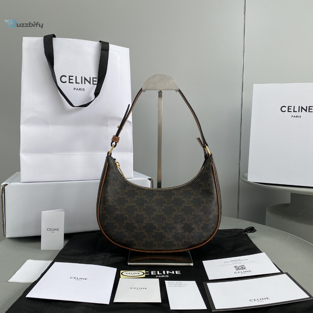 Celine Ava Bag In Triomphe Canvas Brown For Women 9in/23.5cm 193952BZJ.04LU 