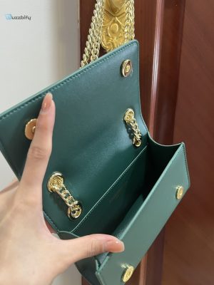 dolce Wei gabbana polished 35 phone bag green for women 7 17